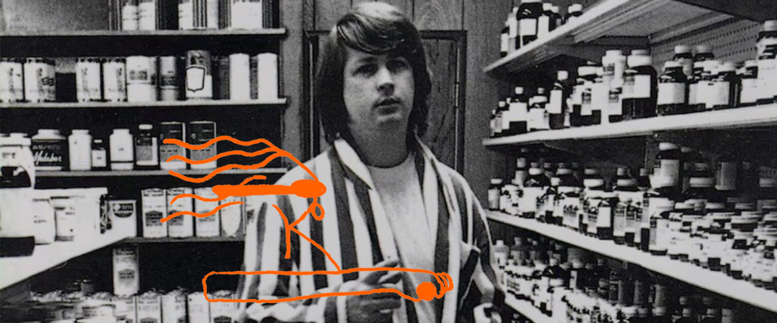 Fuggire da questo mondo con Brian Wilson